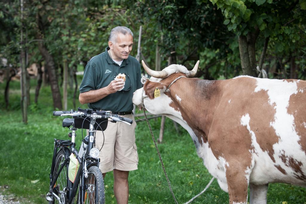 Dai Minisins Villa Savorgnano Esterno foto